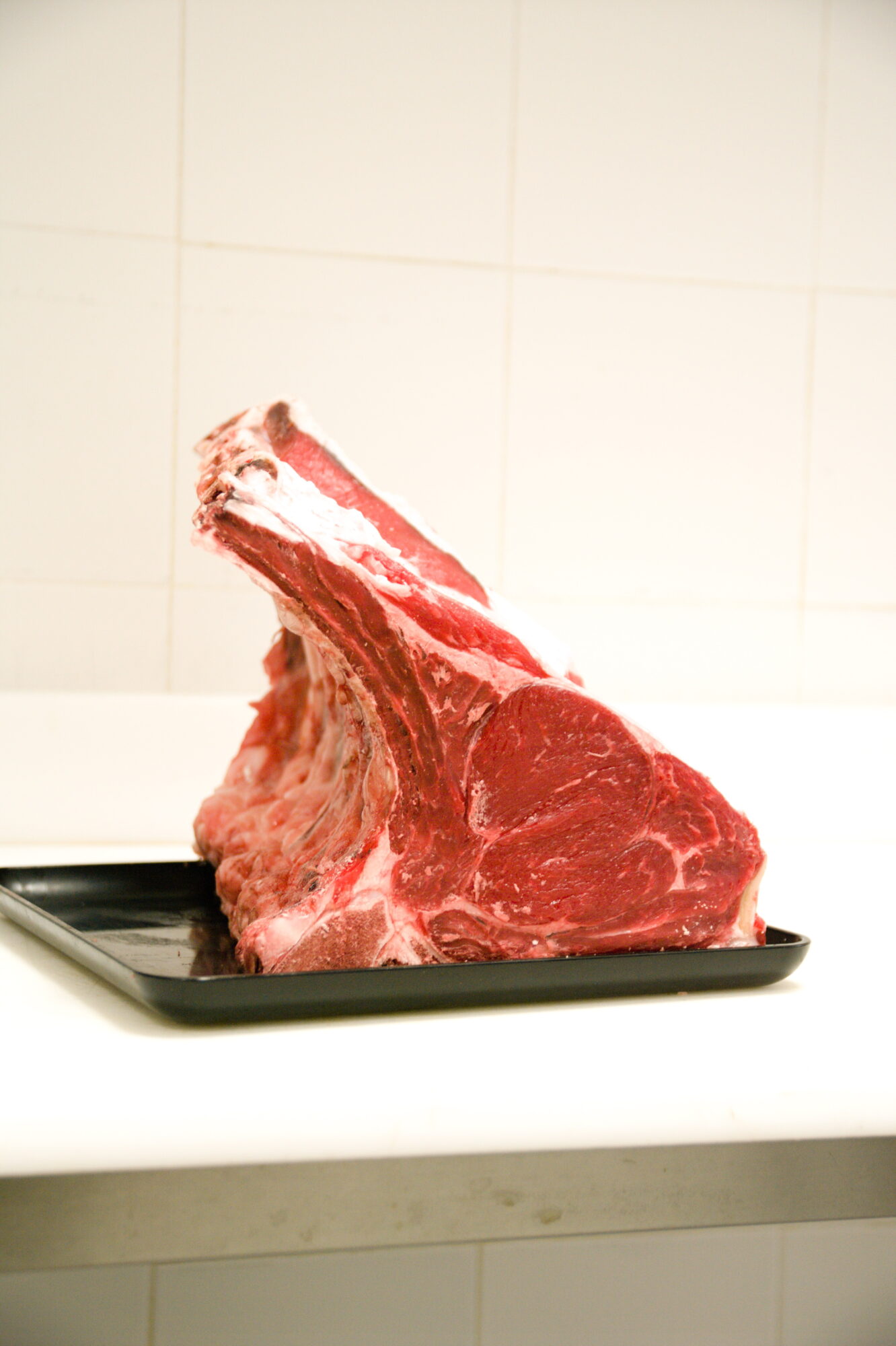 COSTATA Fassona