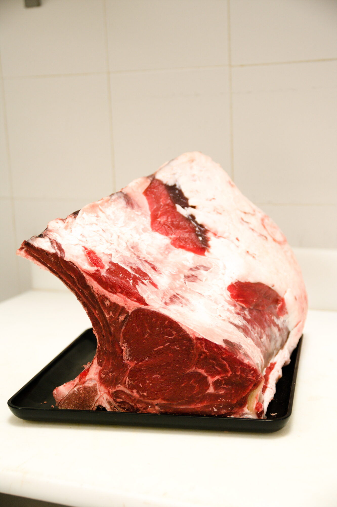 COSTATA Fassona - immagine 2