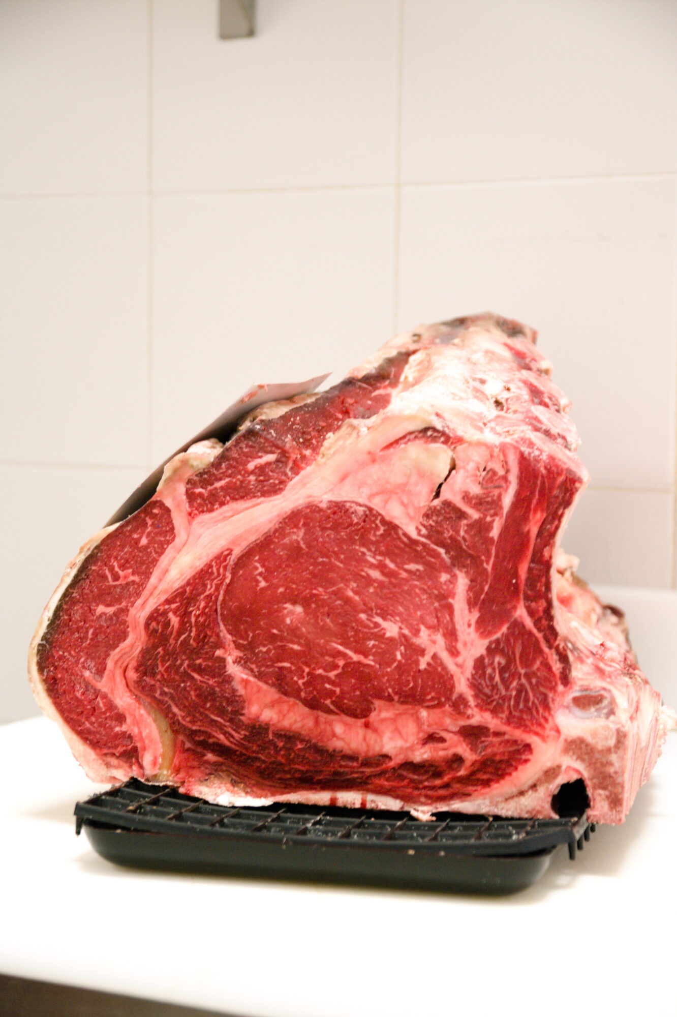 COSTATA Rubia Gallega - immagine 2