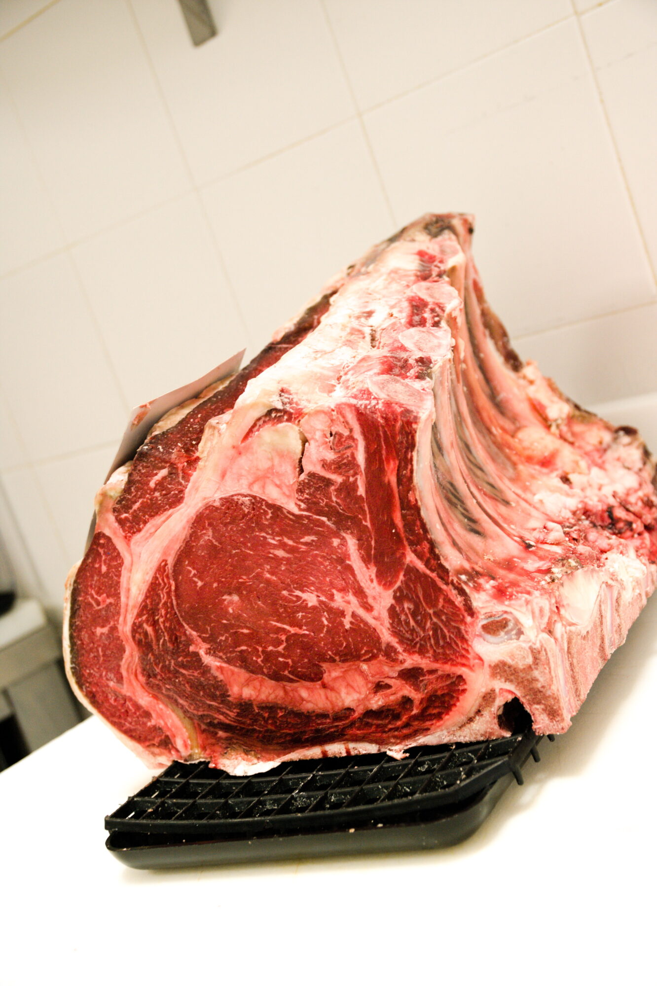 COSTATA Rubia Gallega